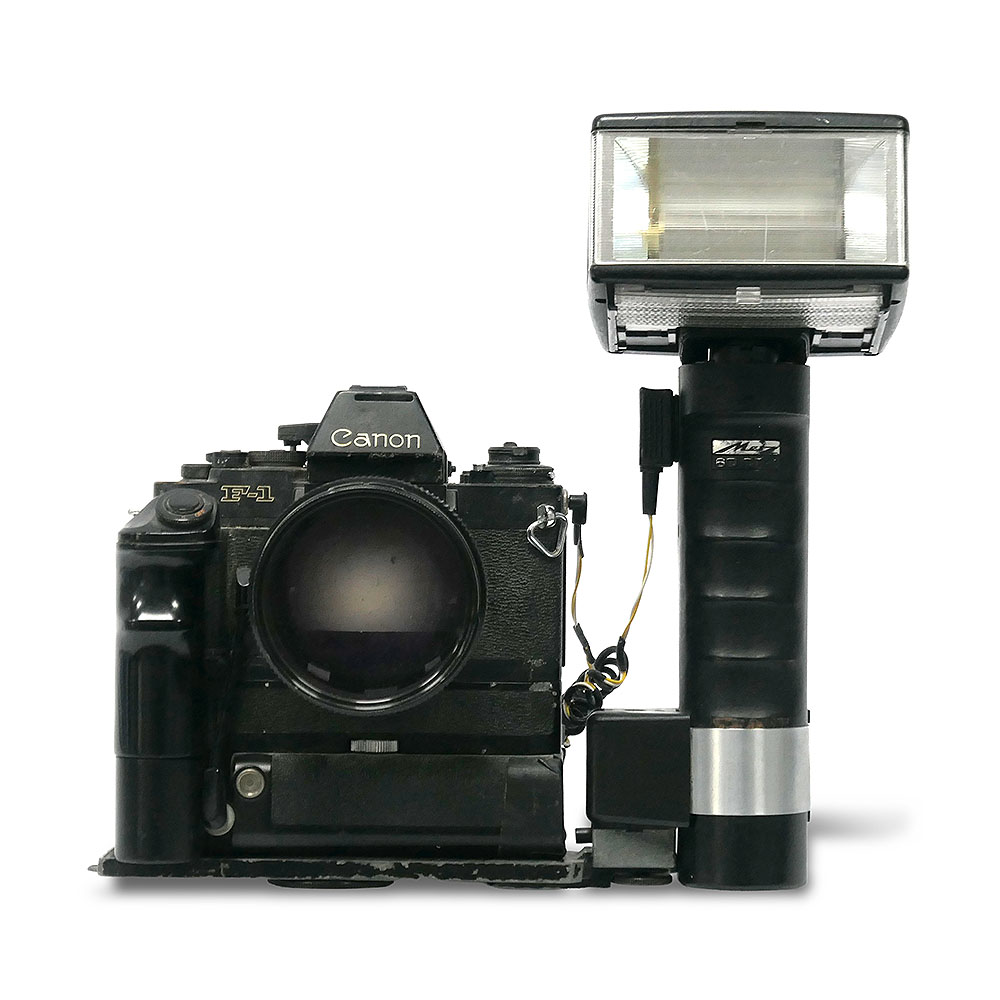 Collectable Cameras, Antiques & Collectables Auction