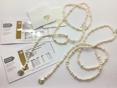 Lot 93 - The Genuine Gemstone Company Ltd; A Silver...