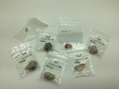 Lot 143 - Unmounted Opal in Matrix Specimens, irregular,...