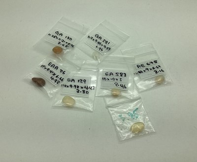 Lot 141 - Seven Unmounted Polished Opals, irregular,...