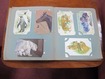 Lot 1436 - An Early XX Century Picture Postcard Album, to...