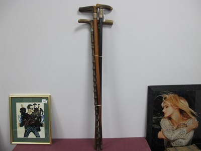 Lot 1411 - Horn and Stag Handled Walking Canes, silver...