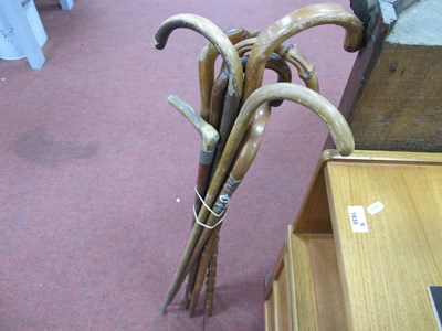 Lot 1458 - Six Crook Handled Walking Canes, horn and dog...