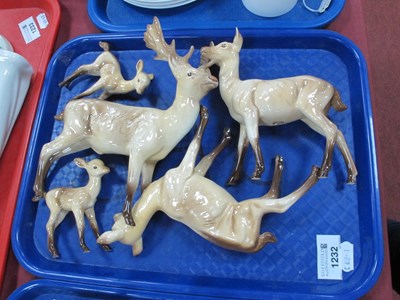 Lot 1232 - Beswick Stag, two Does and two fawns.