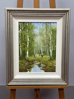 Lot 1169 - TERRY EVANS (b.1943) *ARR 
Woodland Landscape...