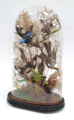 Lot 1245 - Taxidermy: A Late XIX Century Display of a...