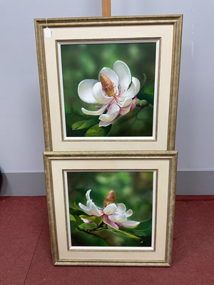 Lot 1198 - PIPPA CHAPMAN (Australian b.1968) *ARR...