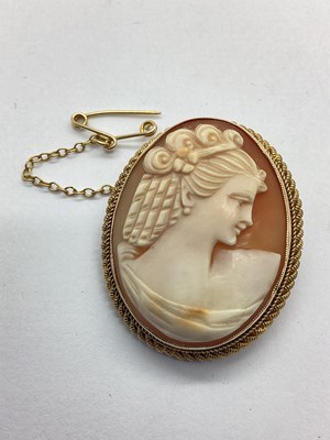 Lot 116 - A Carved Shell Cameo Panel Brooch, the oval...