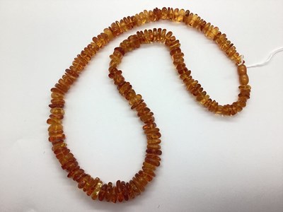 Lot 125 - An Amber Coloured Beaded Necklace, graduated...