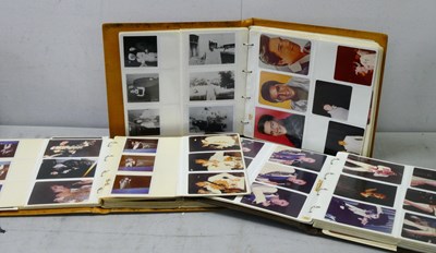 Lot 421 - Elvis Presley Photographs, three folders of...