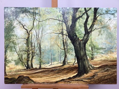 Lot 1258 - MERVYN GOODE (b.1948) *ARR 
Beech Trees on a...