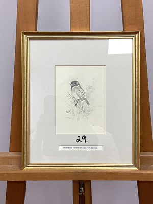 Lot 1242 - ARCHIBALD THORBURN (1860-1935) 
Study of a...