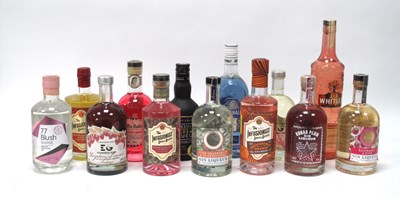Lot 1505 - Gin - A Collection of Assorted Gins and Gin...