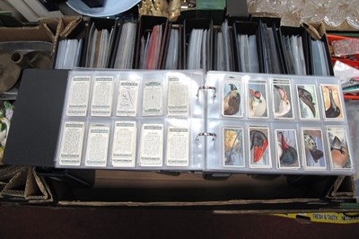 Lot 1208 - Twelve full albums of vintage cigarette cards,...