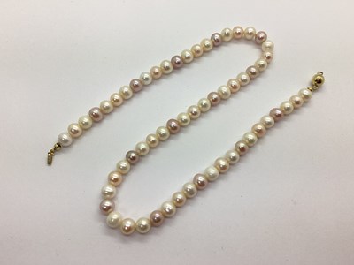 Lot 239 - A Single Strand Pearl Bead Necklace, in...