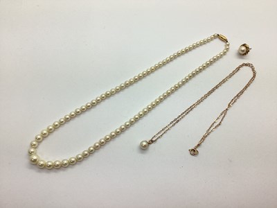 Lot 237 - A Single Strand Graduated Pearl Bead Necklace,...