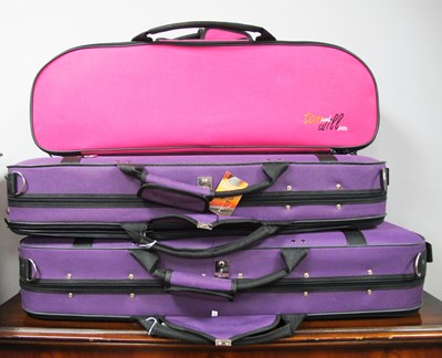 Lot 1461 - Three Tom & Will Instrument Hard Cases: viola...