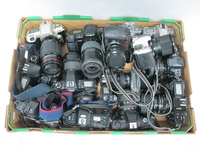 Lot 1156 - A Collection of Modern 35mm SLR Film Cameras,...