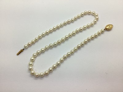 Lot 241 - A Single Strand Pearl Bead Necklace, the...