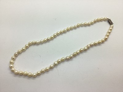 Lot 236 - A Single Row Pearl Bead Necklace, knotted...