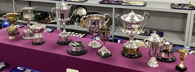 Lot 337 - A Collection of Assorted Trophy Cups, "George...