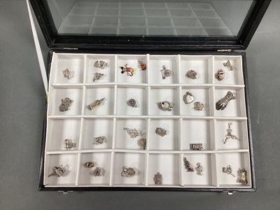 Lot 279 - A Collection of Assorted Novelty Charm...