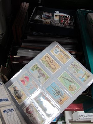 Lot 1174 - Cigarette Cards in Large Quantity, including...