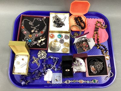 Lot 293 - A Mixed Lot of Assorted Costume Jewellery,...