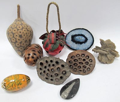 Lot 1197 - Banksia Nut Pod Diffuser, 12cm long. Baobab...