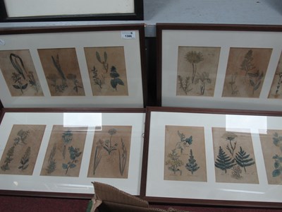Lot 1386 - Naturalistic Prints (18) in six mahogany...