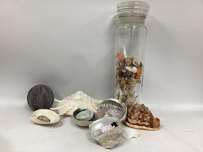 Lot 1167 - Sea Shells, quantity Belleek shell dish, glass...