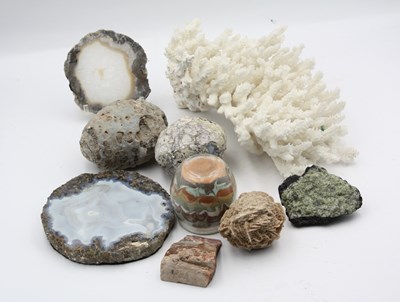 Lot 1378 - Collection of Geological and Biological...