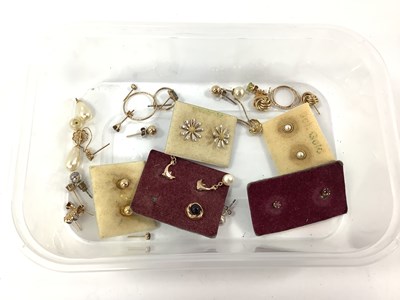Lot 196 - A Collection of Assorted Dainty Stud and Other...