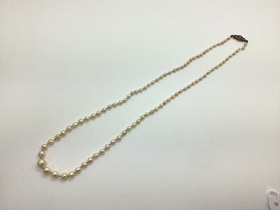 Lot 134 - A Vintage Graduated Single Strand Pearl Bead...