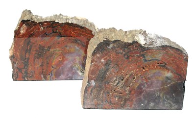 Lot 1331 - A Pair of Petrified Wood Bookends, displaying...