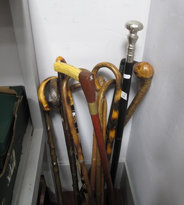 Lot 1127 - Collection of walking sticks, mainly natural...