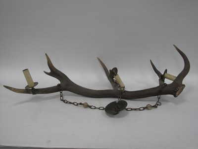 Lot 1472 - Stag Antler as a Light Fitting, 84cm between...
