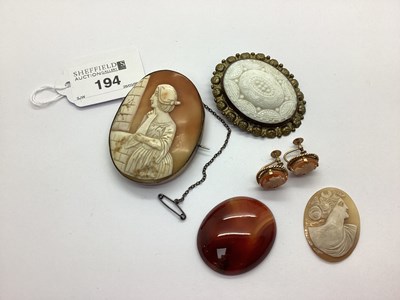 Lot 194 - A Large Oval Shell Carved Cameo Brooch,...