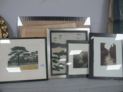 Lot 1132 - Liz Elmhirst 'Cedars of Lebanon' Limited...