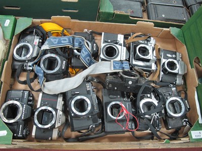Lot 1117 - A large collection of 35mm SLR Film Camera...