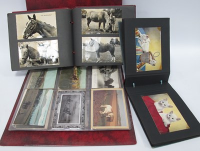 Lot 1360 - Three Albums of Early to Late XX Century...