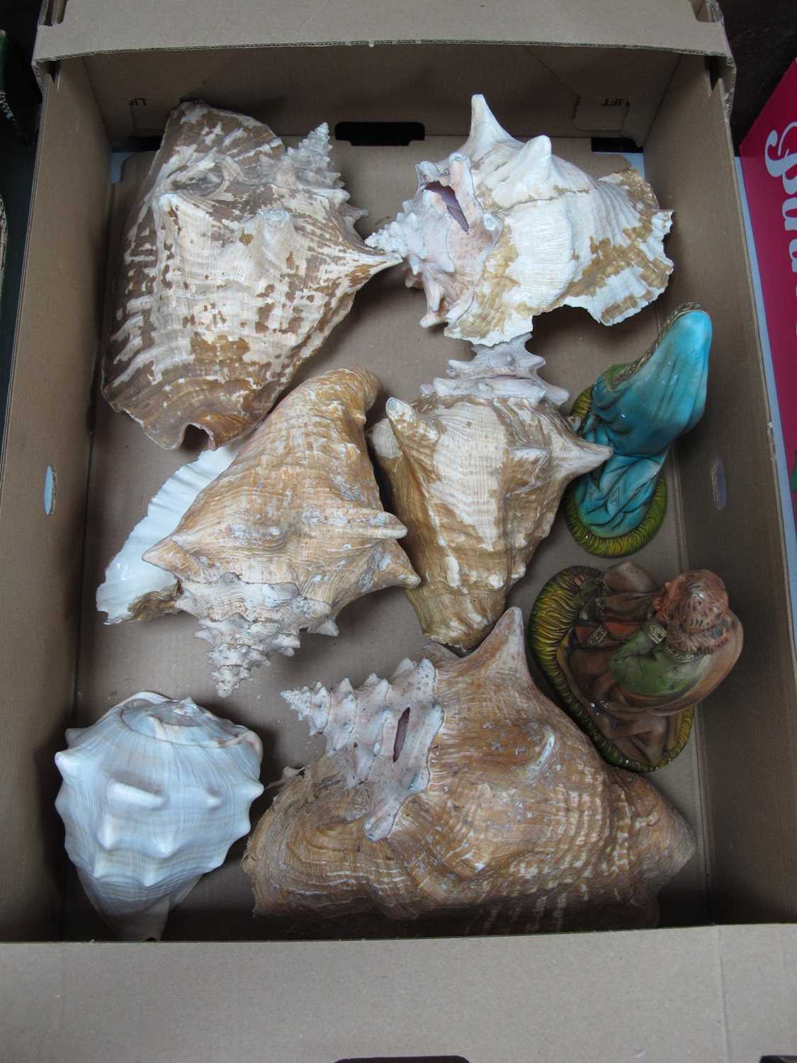 Lot 1054 - Six Conch Shells, a pair of plaster religious...