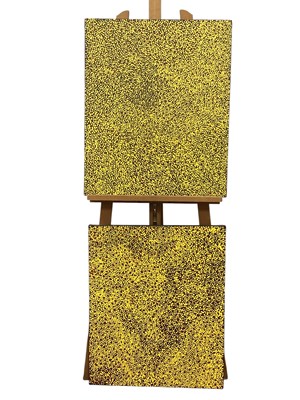 Lot 1149 - Josie Petrick Kemarre (B Circa 1945 Australian...