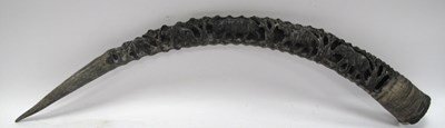 Lot 1296 - Carved African antelope horn, probably...