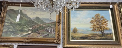 Lot 1422 - Derek Rodgers, two Autumn Trees, oil on board,...