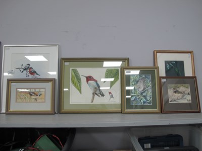 Lot 1111 - Six framed bird-themed watercolours and...
